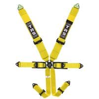 TRS Westfield Pro 6 Point FIA/Road Harness