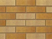 Ibstock Tradesman Buff Multi Brick A0304A Slip