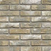 Wienerberger Bronsgroen Brick