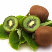KIWI MALE ou FEMELLE et Actinidia AUTOFERTILE conseils