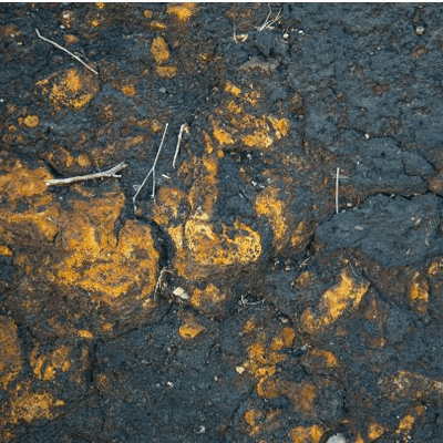 Analyse pollution du sol