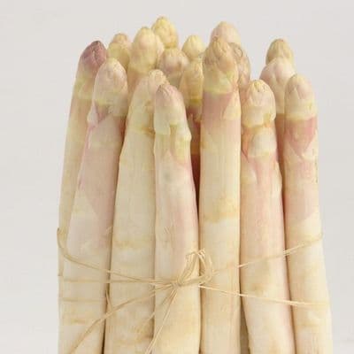 ASPERGES blanches Argenteuil