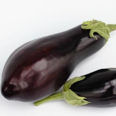AUBERGINE SULTANE GREFFEE