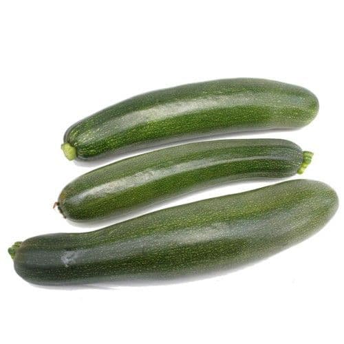 COURGETTE TENDOR plant de qualité valeur sure