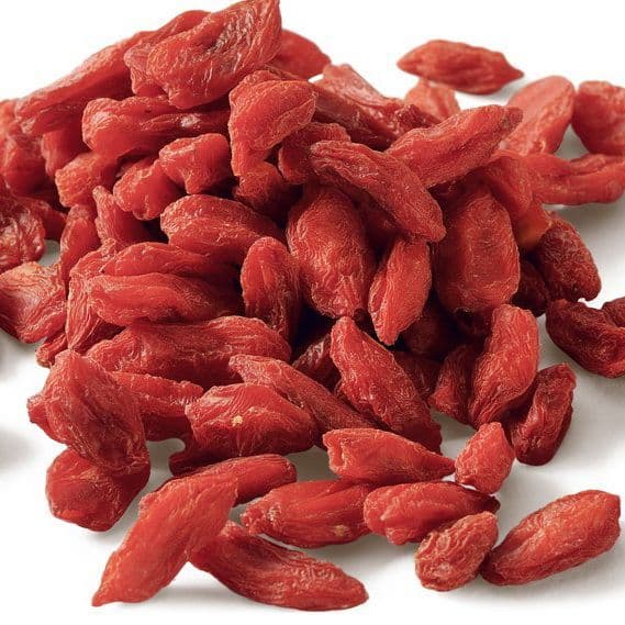 Plants de GOJI (Lycium barbarum) 