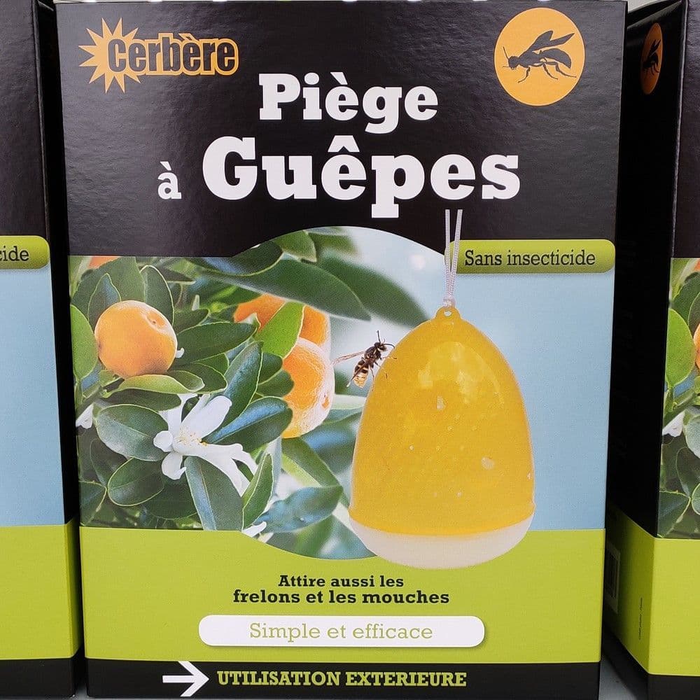 Piège à guêpes en plastique résistant — free download