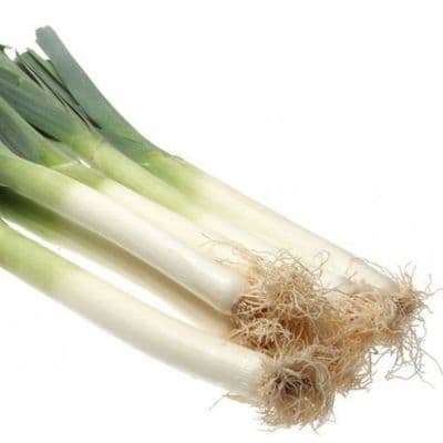 Poireau racines nues
