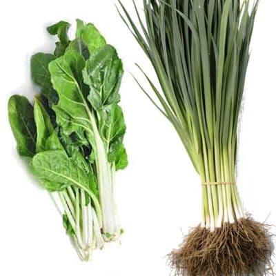 POIREAUX RACINES NUES