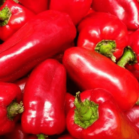 POIVRON mini à croquer rouge jaune orange osez les couleurs