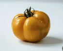 TOMATE ANANAS GREFFEE