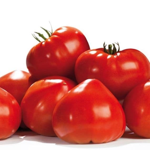 TOMATE GOURMANDIA très savoureuse peu de pépins