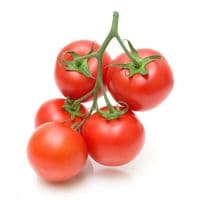 TOMATE PREMIO calibre moyen chair ferme