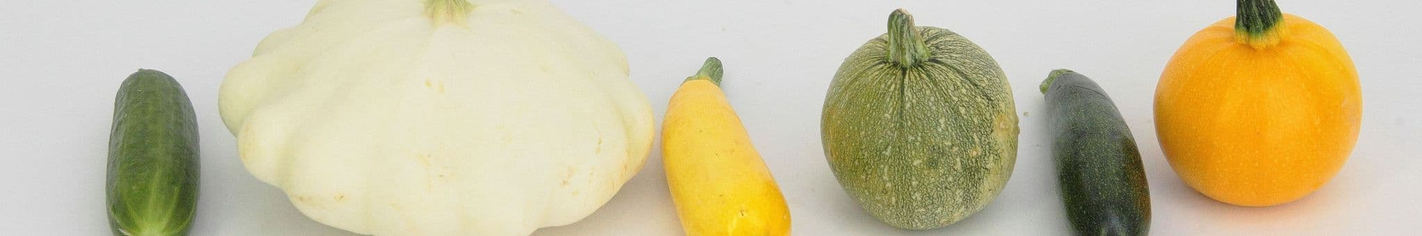 courges-courgettes-concombre-patisson-potiron-butternut-spaghetti-vegetal