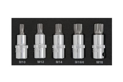 Blue Spot 01509 Spline Bit Set M10-M18 5 Piece Set 1/2 D