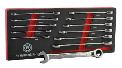 Britool Hallmark BHRWSET12 12 Piece Ratcheting Combination Wrench Set