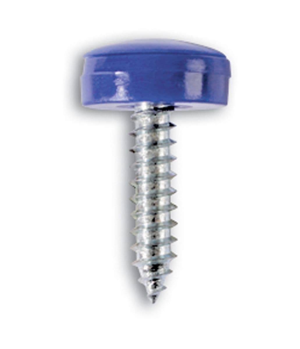 Connect 30336 Number Plate Security ScrewBlue Pack 100
