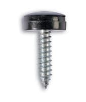 Connect 30635 Number Plate Security Screw-Black Pk 100