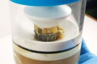 Gunson 77177 Portable Bearing Grease Packer