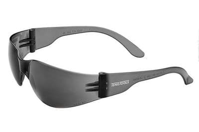Teng SG960G Gray Lens Safety Glasses