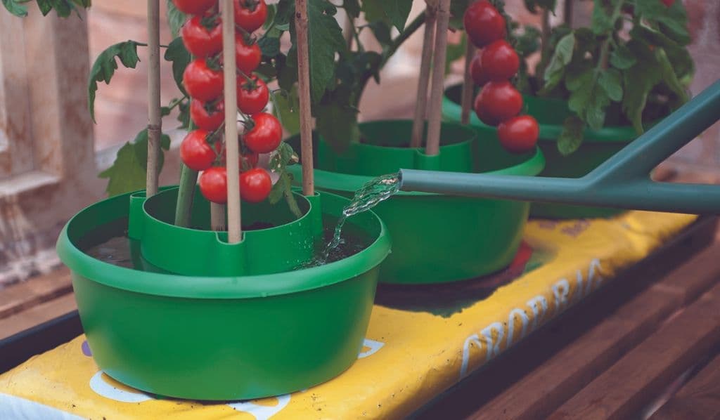 Garland Plant Halos Green Pack 3