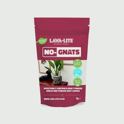 LAVA-LITE No Gnats Fungus Control - 3L