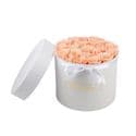 21 XL Roses White Infinity Roses Logo Box