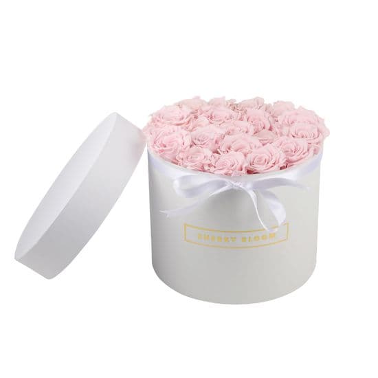 21 XL Roses White Infinity Roses Logo Box