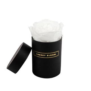 Black  Infinity Rose Single Box One Year Rose All Colours
