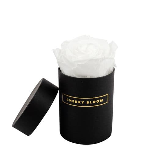 Black  Infinity Rose Single Box One Year Rose All Colours