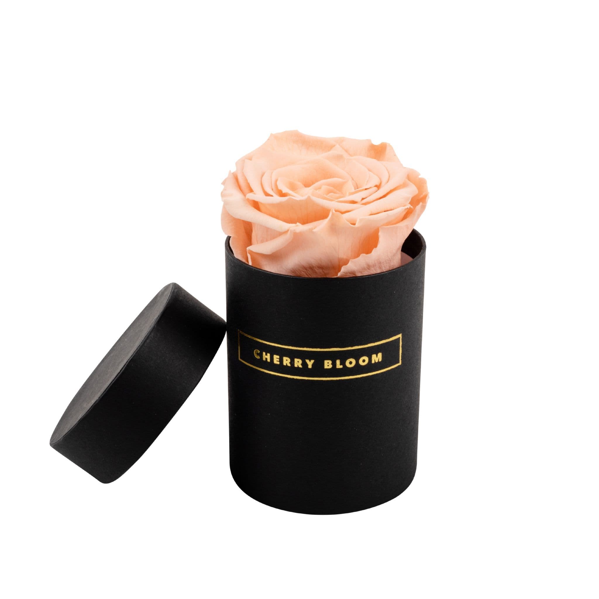 black-infinity-rose-single-box