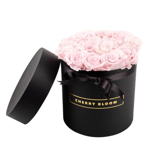 One Year Roses XL 12-14 Roses All Colours Black Logo Box
