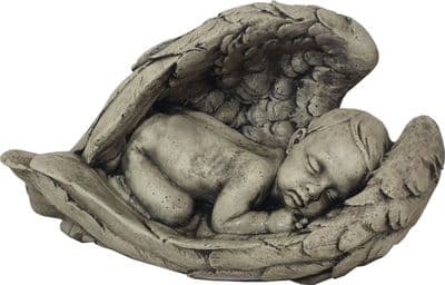 Baby in Wings ( collected price )