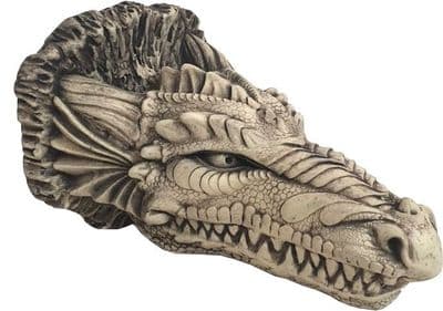 Dragon Wall Plaque ( collected price )
