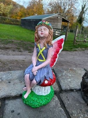 Fairy on Mushroom painted ( collected price )