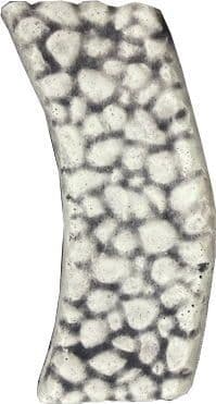 Fairy Pathway ( collected price )