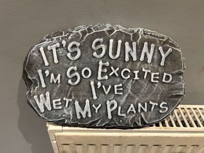 Its sunny i nearly wet my plants (collected price)