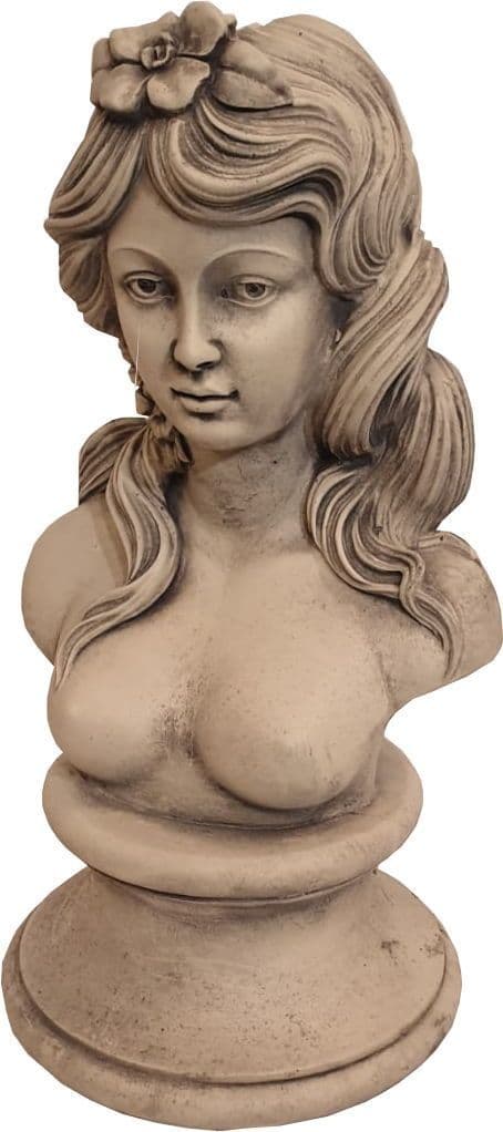 Lady Bust ( collected price )