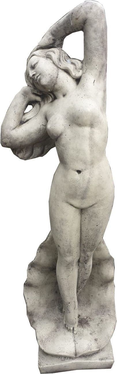 Shell Girl ( collected price )