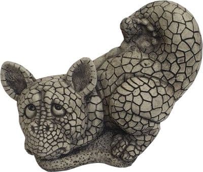 Shy Dragon ( collected price )