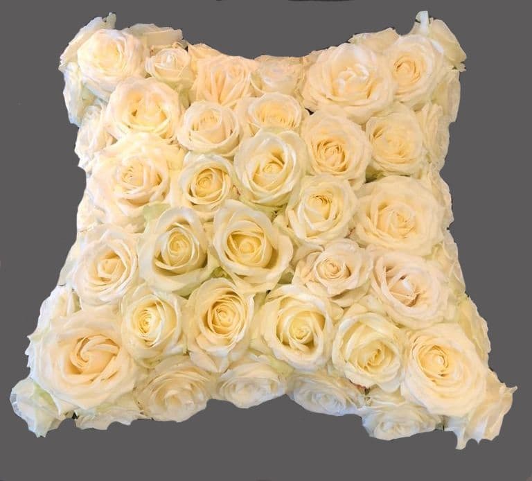White Rose Cushion