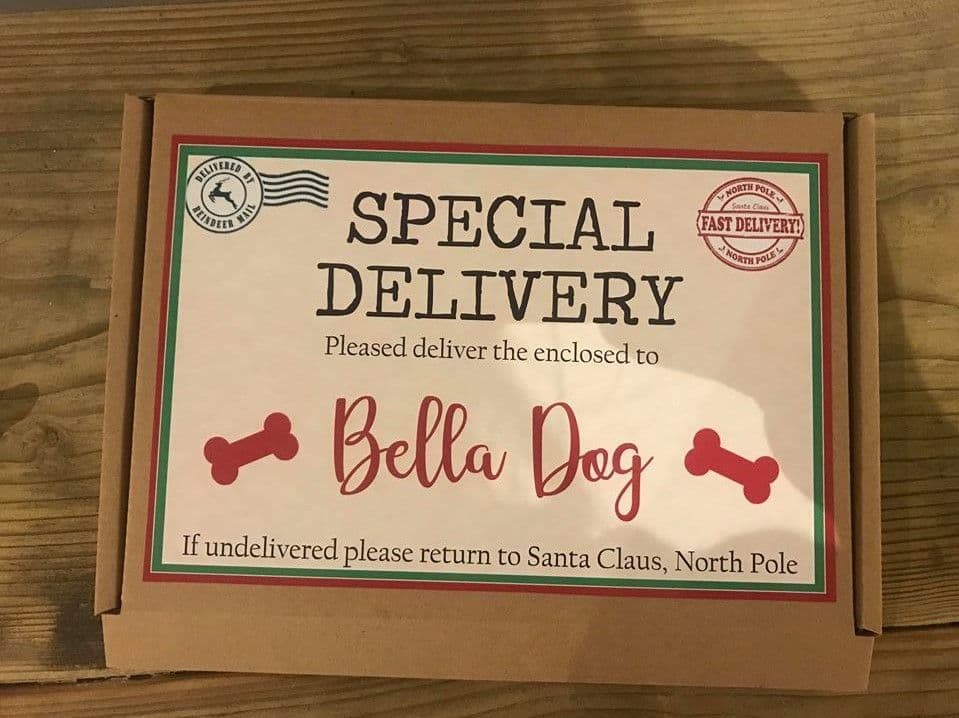 christmas eve box for dogs