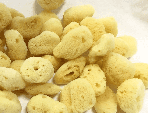 Jakar Natural Artists Sea Sponge Pack of 10 Fine