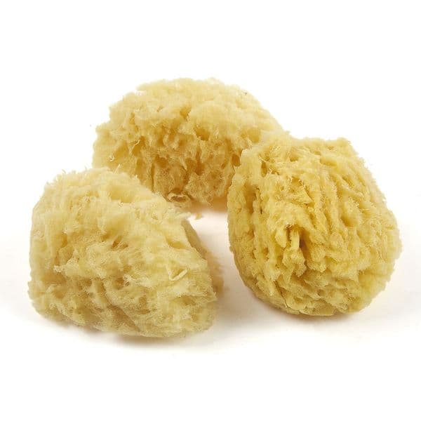 Jakar Natural Artists Sea Sponge Pack of 3 Large