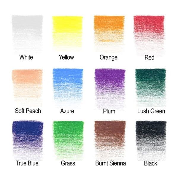 Winsor and Newton Studio Coloured Pencil 12 Set
