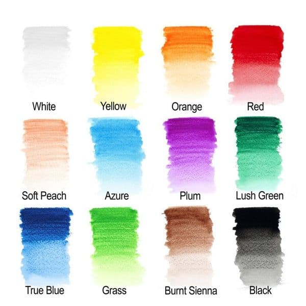 Winsor and Newton Studio Watercolour Pencil 12 Set