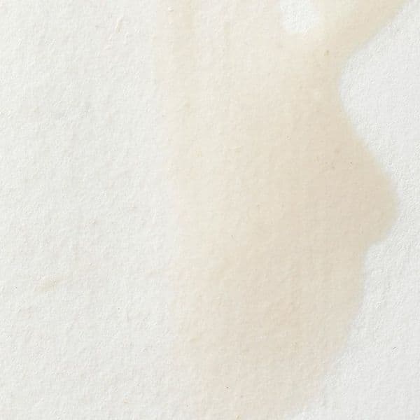 Winsor & Newton Professional Watercolour 14ml Tubes