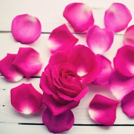*Limited Edition Luxury Wax Melts Collection