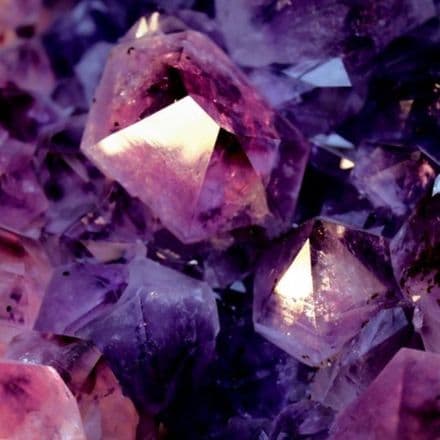 *View All Ladies Wax Melts collection