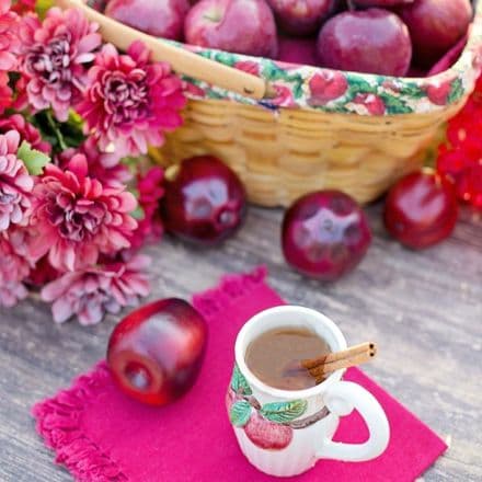 Apple Cider Scented Wax Melts