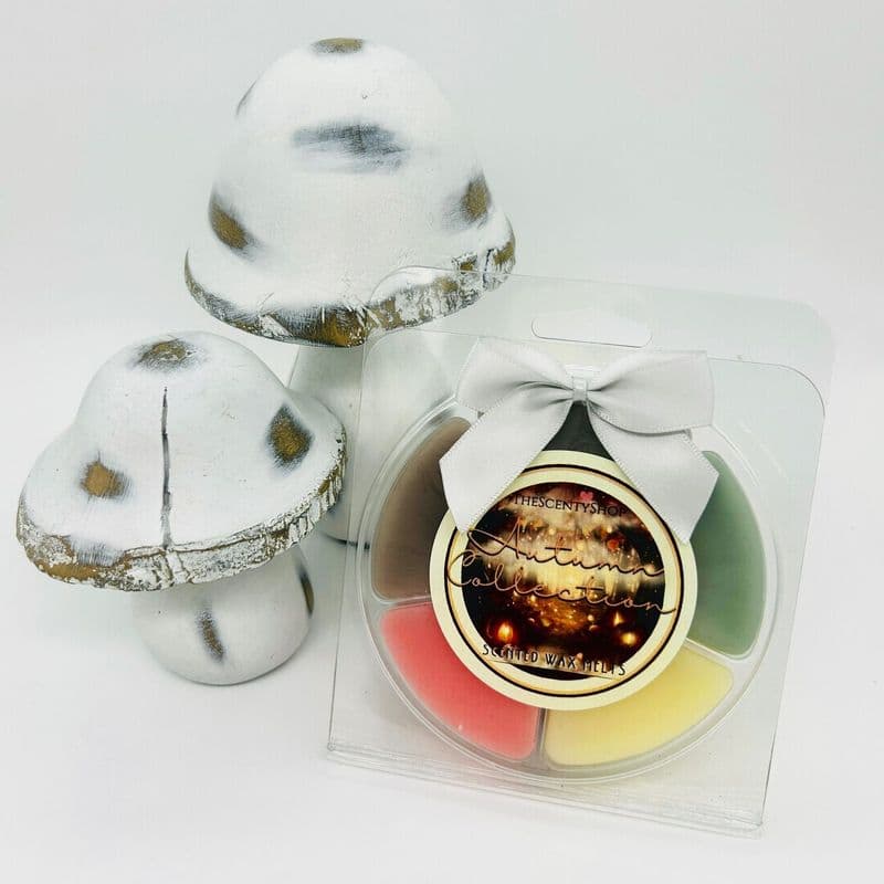 Autumn Wax Melt Clamshell - The Scenty Shop